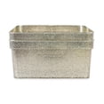 thumbnail image 7 of Isaac Jacobs 2-Pack Medium Champagne Glitter Storage Bin Set with Cutout Handles, Storage Solution, 7 of 7