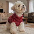 thumbnail image 2 of Zynoxe Small Dog Sweater Warm Comfy Knit Ribbed Winter Sweaters Solid Color Turtleneck Winter Clothes, 2 of 7