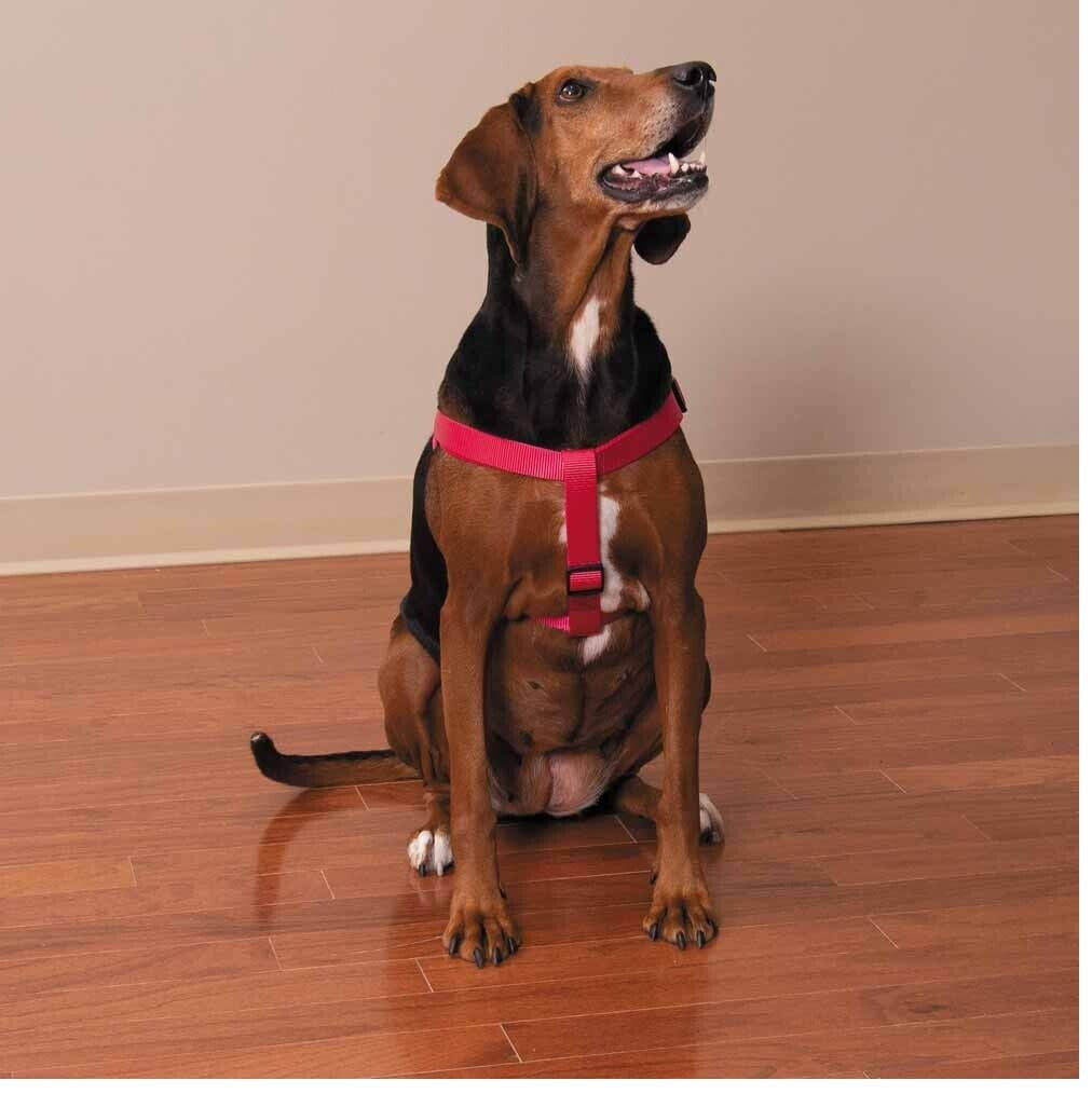 50 Pack Dog Harnesses Bulk Wholesale Assorted Colors Vet Rescue Shelter Safety (Large - 25 to 40 Inch Chest)