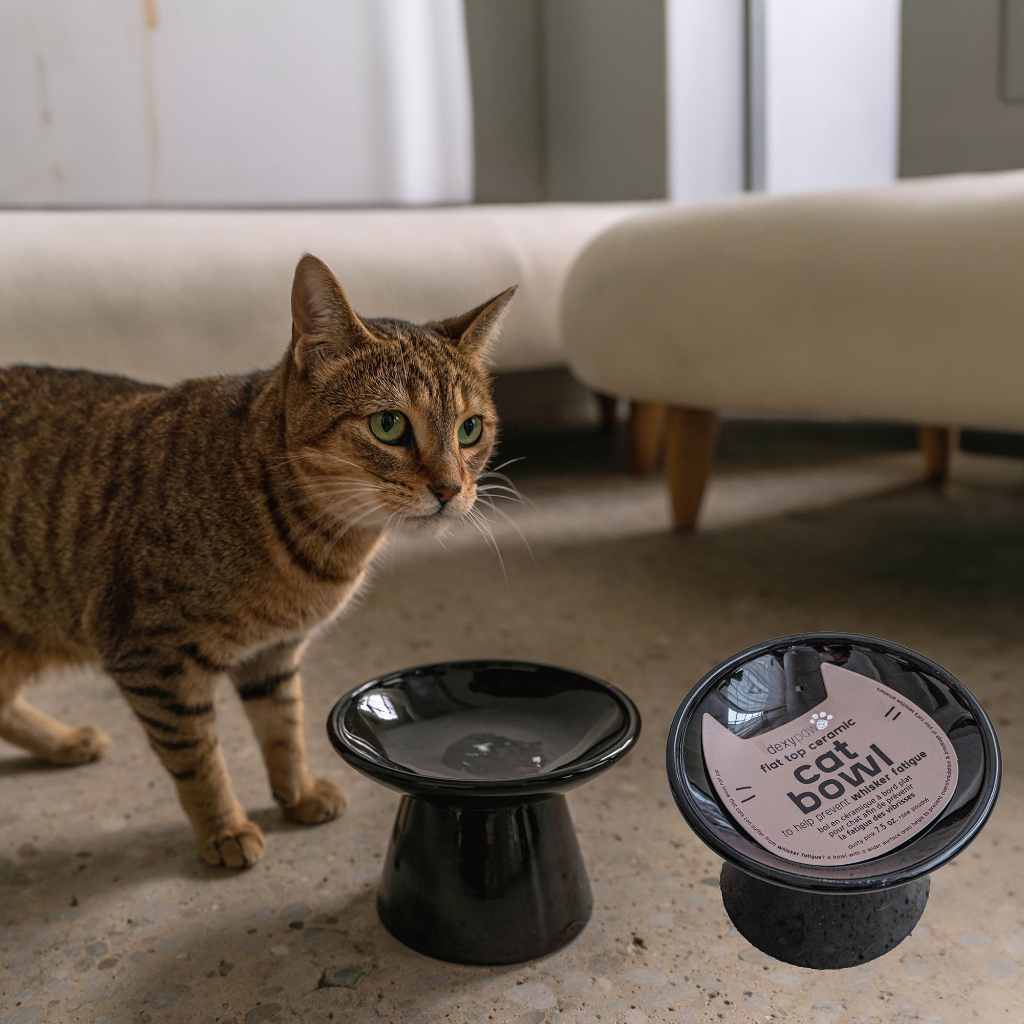 Dexypaws: Flat Top Ceramic Bowl For Cats - Black - 7.5oz Capacity, Stylish Pet Safe Feeding Dish, Dishwasher Safe, Food & Water, Scratch Resistant