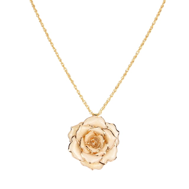 Collar Cadena Dorada de 30mm Colgante Bañado en Oro de 24k Regalo para ANGGREK Otros