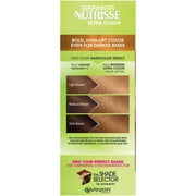 Garnier Nutrisse Ultra Color Nourishing Bold Permanent Hair Color Creme, HL3 Golden Honey