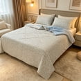 thumbnail image 6 of Washable Cotton Summer Quilt Breathable Silk Cotton Blanket Ultra Soft Thin Bed Quilt All Season Portable Washable Comforter Lightweight Cooling Bedding Throw Home Bedroom Use,Soft Bedding Set(A), 6 of 6