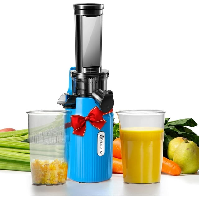 Ventray Ginnie Mini Cold Press Juicer, Small Slow Masticating Juicer for Vegetables and Fruits, High Juice Yield, Easy to Clean, Space-Saving, Fit for Personal/Travel/Picnic/Office - Blue