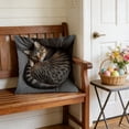 thumbnail image 6 of Rirozkan Spring Cushion Cover, Easter Pet Pattern Throw Pillow Cover, 18 Inch Square Decorative Pillow Case for Sofa Couch, Plush Imitation Embroidery Home Decor for Living Room Bedroom, 6 of 6