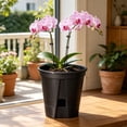 thumbnail image 2 of Transparent Aeration Planter for Indoor Plants, Clear Plastic Orchid Pot with Drainage Slits, Breathable Root Control Container with Saucer, Ideal for Monitoring Plant Growth, New Home Gift Idea, 2 of 6