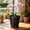 D, variant on Watering Orchid Pot, 8 Inch Clear Breathable Plastic Planter with Water Reservoir for Indoor Phalaenopsis Plants Root Control Pot