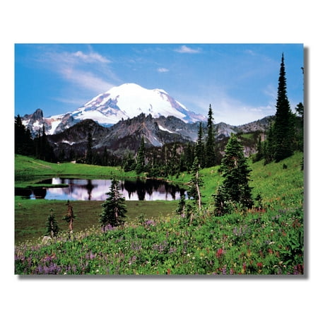 Mt. Rainier National Park Lake and Snow Photo Wall Picture 8x10 Art