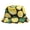 Style 3, variant on Fruit Printed Bucket Hat Summer Panama Caps Foldable Fishermen's Hat Outdoor Sunshade Hat for Women Men