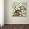 thumbnail image 4 of Trademark Fine Art "Nesting II" Canvas Art by Color Bakery, 4 of 4