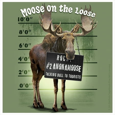 

Thirstystone Occasions Drink Coasters Set Moose on the Loose