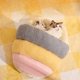 thumbnail image 5 of Cama calefactable para mascotas, incluye pantuflas, cama semicerrada para gatos y accesorios para mantener a las mascotas calientes en invierno., 5 of 7