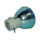 Lutema Platine pour Lampe de Projecteur Optoma DN8901 (Ampoule Seulement) – image 5 sur 5