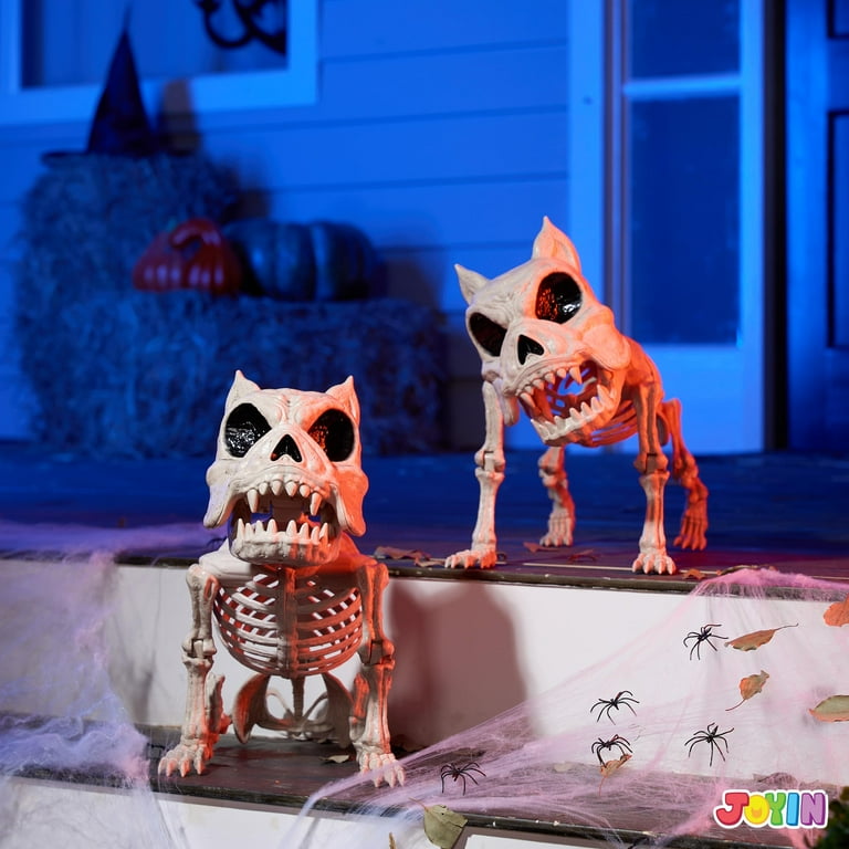 Cat Skeleton Halloween Decor Indoor Outdoor Scary Haunted House Animal Prop Pet Cat Skeleton Halloween Decor Indoor Outdoor Scary Haunted House Animal Prop Pet
