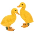 thumbnail image 1 of 2pcs Yellow Duck DIY Mini Miniature Fairy Garden Decor Craft Mini Adornment Accessory, 1 of 7