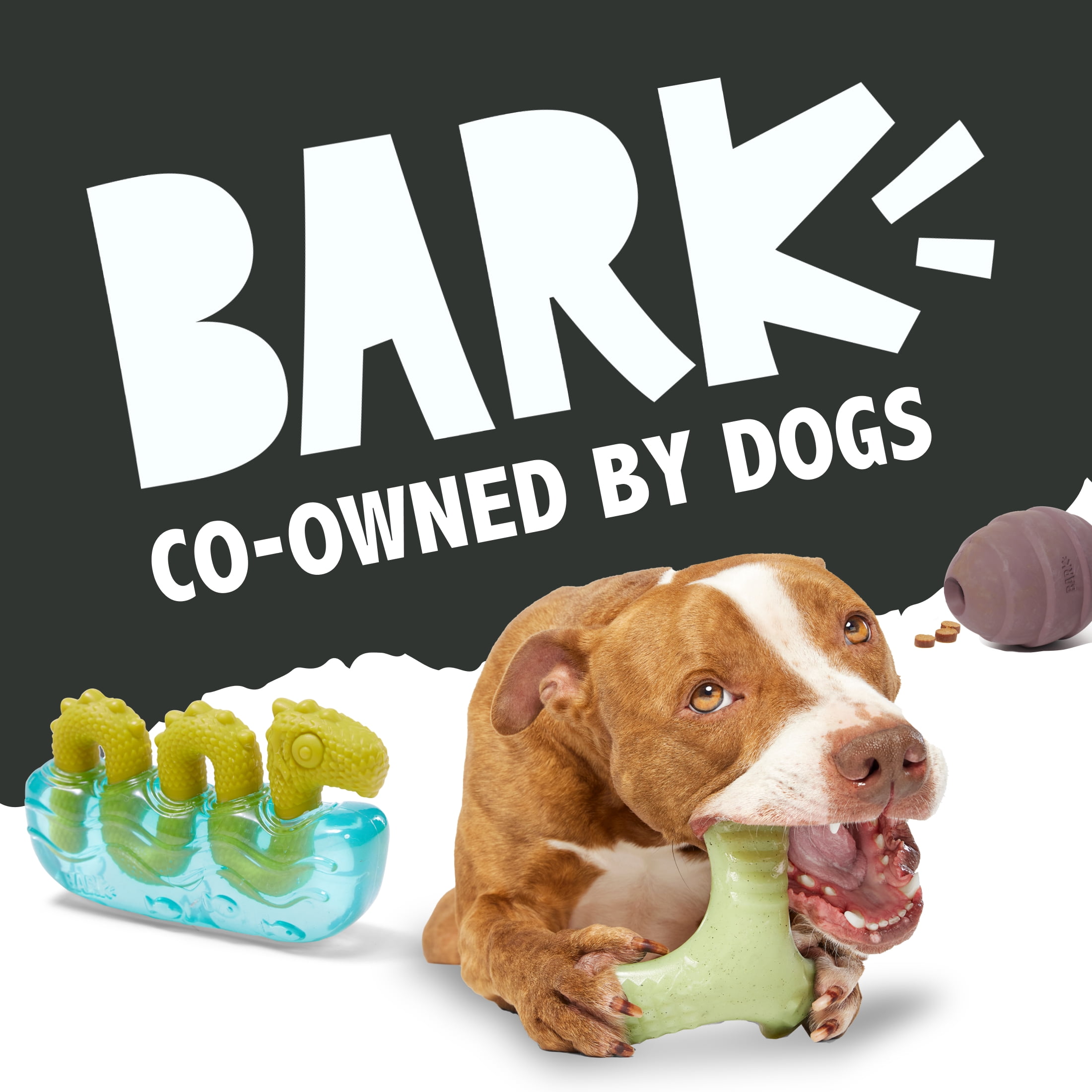 I-Squeak Cone Interactive Dog Toy for Durable Fun