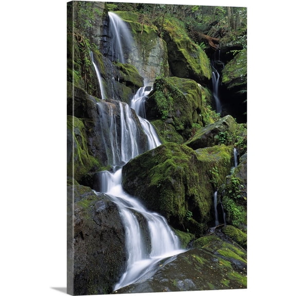 Great BIG Canvas | "Thousand Drips Waterfall, Great Smoky Mountains National Park, Tennessee" Canvas Wall Art - 24x36