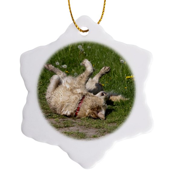 3drose, Golden Retriever Plays, 3 inch Snowflake Porcelain Ornament