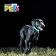 thumbnail image 4 of COLLAR LED HUELLAS MED., 4 of 4
