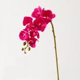 thumbnail image 1 of HAOAN 2PCS 27.2” Tall Cream Silk Orchid Stems Artificial Flower Stem Real Touch Flower For Wedding Decorations, 1 of 8