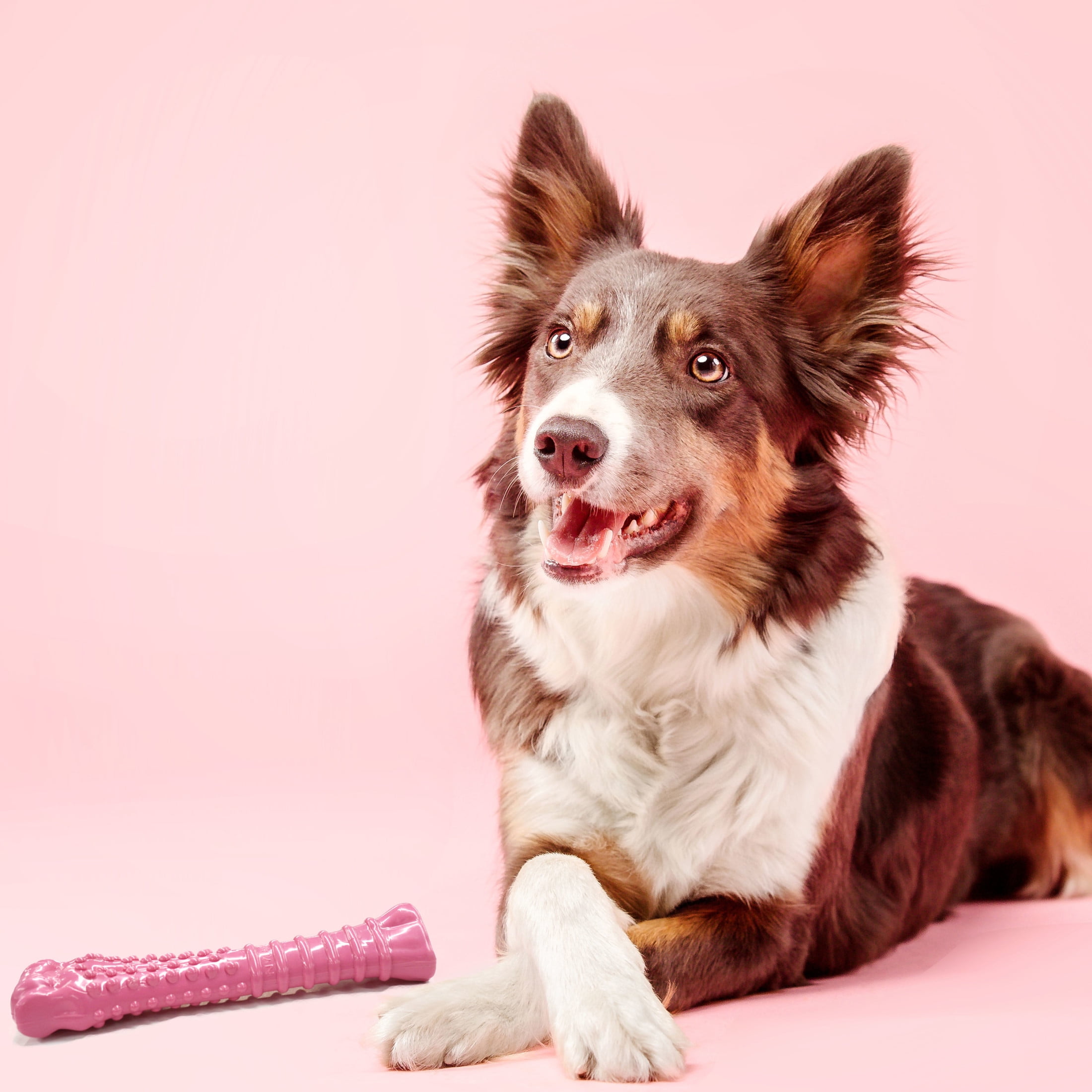Nylabone Power Chew Textured Knuckle Bone Dog Chew Toy Chicken Pink & Camo X-Large (2 Count)