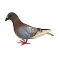 thumbnail image 2 of figatia Simulation Foam Pigeon Model Imitation Dust Miniature Statue Figure Residential Culture Realistic Pigeon Artificial Bird for Shelf Earthy Red, 2 of 8