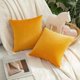 thumbnail image 1 of Paquete de 2 fundas de almohada de terciopelo para otoño, decorativas, cuadradas, suaves, 1 of 5