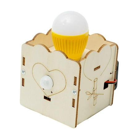 Wood Science Project Model Kits Motion Sensor Light Children ...