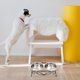 thumbnail image 4 of BESTYASH 1Jgo Bebedero Y Comedero Elevado Para Perros Inoxidable Con Soporte Negro, 4 of 6