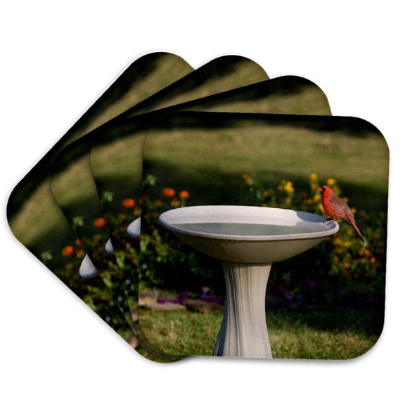 3drose, Northern Cardinal Male at Bird Bath Marion, Illinois, Usa., Set of 4 Coasters - Cork