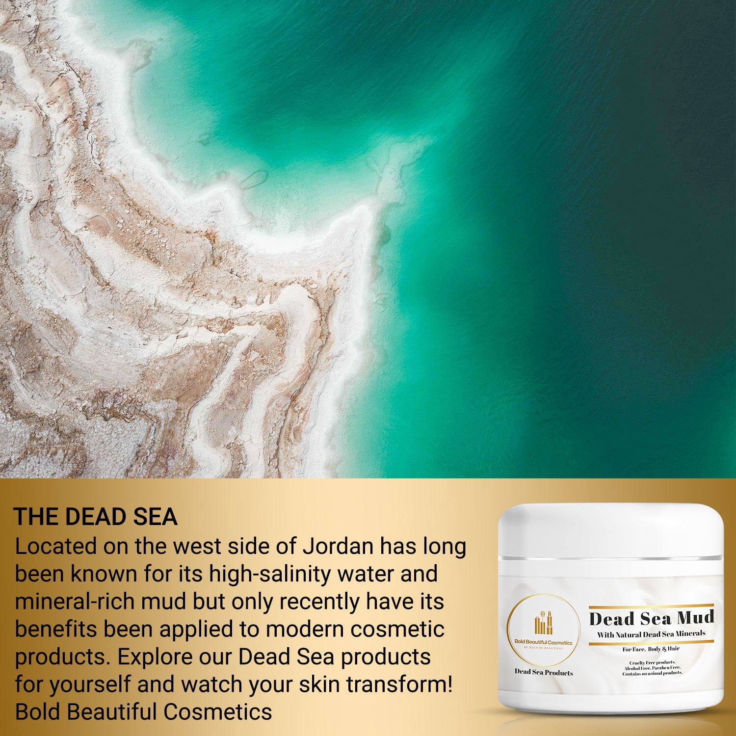 Bold Beautiful Cosmetics Dead Sea Mud Mask | Made in Jordan | Natural Skincare for Women & Men | 7.05 Oz