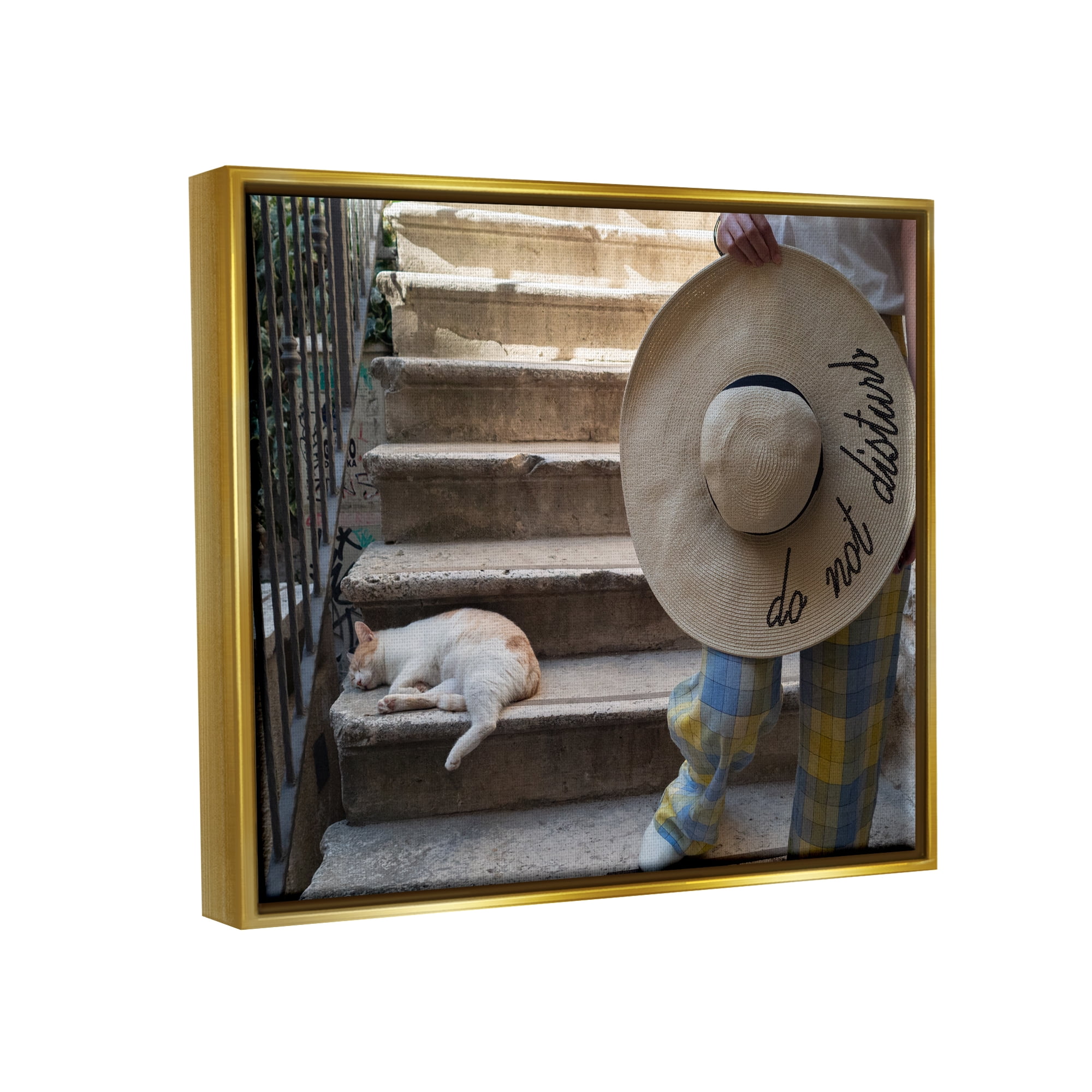 Stupell Industries Do Not Disturb Cat Animals & Insects Photography Gold Floater Framed Canvas Art Print Wall Art, 21 x 17