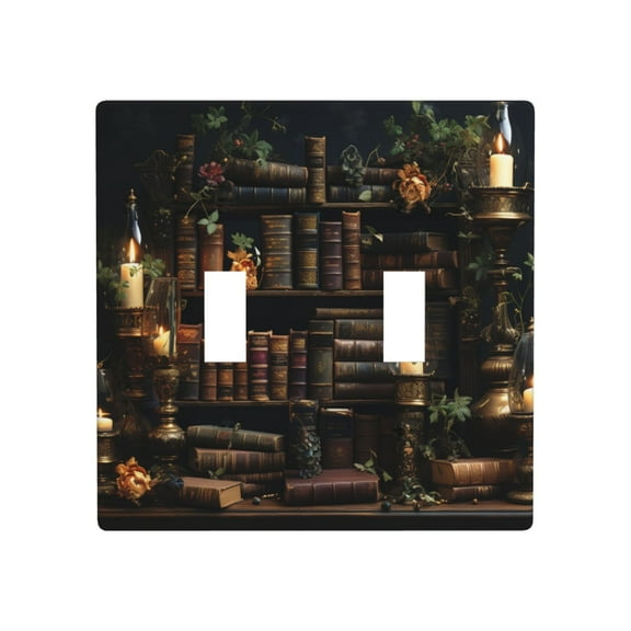 2 Gang Double Toggle Wall Plate Light Switch Cover Wallplate - Library Books magic Vintage art