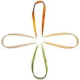 thumbnail image 4 of 4 Pcs Épingle à Cheveux en Acétate en Forme de U Fourchette Support Accessoires pour Cheveux pour Femmes, 4 of 8