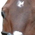 thumbnail image 4 of Hy Mexican Bridle with Rubber Grip Reins, 4 of 4