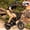 Black, variant on ESKUTE Electric Bike for Teens & Adults, 750W Motor (1500W Peak), 28mph Speed, 48V 13Ah Battery, 16"x4.0" Fat Tires, 7-Speed E-Bike with Dual Suspension, Black