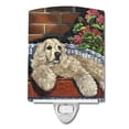 thumbnail image 1 of Carolines Treasures PPP3074CNL 6 x 4 in. Cocker Spaniel Life is Good Ceramic Night Light, 1 of 1