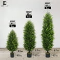 thumbnail image 2 of CAPHAUS 3 FT, 36 Inch Artificial Cedar Tree set of 2, Natural Faux Plants for Outside Planter, UV Resistant, Fake Boxwood Topiary w/ Dried Moss, Artificial Tree Indoor, Outdoor Patio Decor, 2 of 9