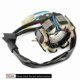 thumbnail image 2 of Bobina del estator del generador de motocicleta para CRF250 CRF250R 2004-2009 CRF450R 2005-2007 31120-KRN-670 S202412246501, 2 of 5