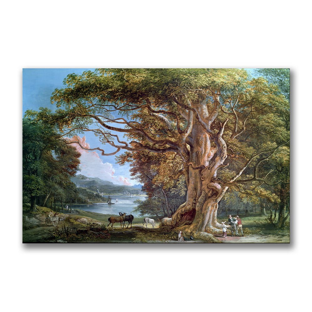 Trademark Fine Art "An Ancient Beech Tree, 1794" Canvas Wall Art by Paul Sandby