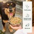 thumbnail image 6 of The Farmer’s Dog Fresh Human-Grade Dog Food, Beef & Grain Recipe, Personalized Meal Plan Subscription for all Breeds & Sizes, 6 of 8