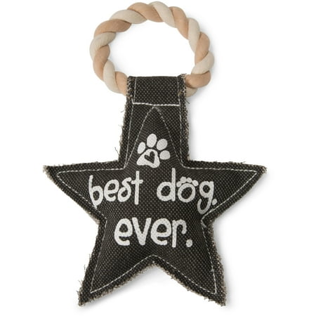 Pavilion - Gray Star Canvas and Rope Dog Squeaky Toy - Best Dog