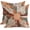 Sun Daisy, variant on Nautical Coastal Throw Pillow Covers 16X16 Inch Set of 2 Ocean Seashell Coral Starfish Decorative Pillow Cases Summer Beach Blue Gray Beige Pillow Covers Modern Home Decor For Living Room Couch