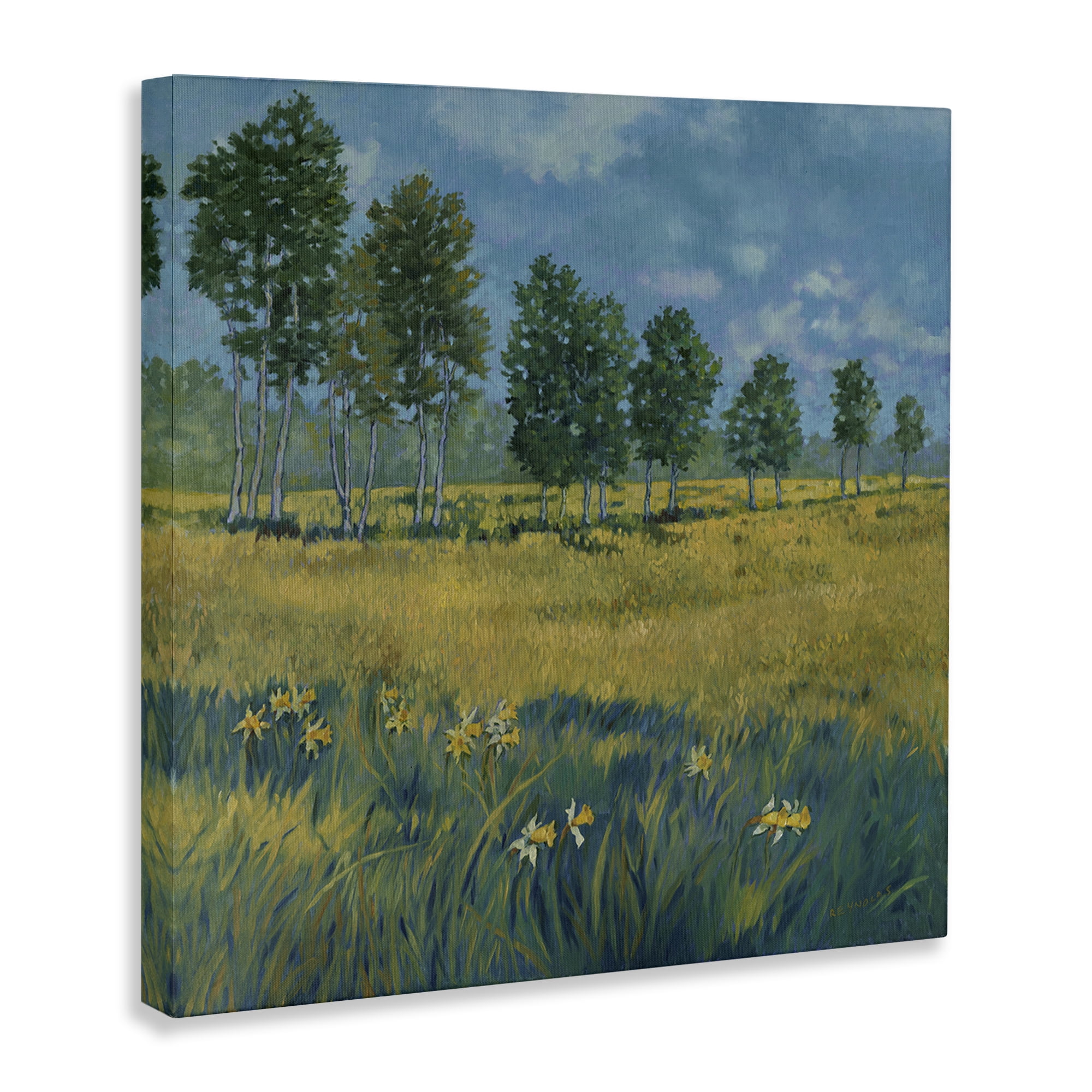 Stupell Industries Daffodil Field Landscape Landscape & Nature Painting Wrapped Canvas Art Print Wall Art, 36 x 36