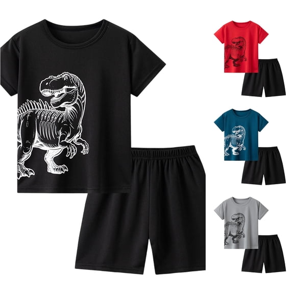 WERYOUNG Boys Summer Outfits Short Sleeve Cartoon Dinosaur Print Beach Mesh Tee And Shorts For Boys 2 Piece Playwear Sets Versatile Clothes Sets 2-3 Years