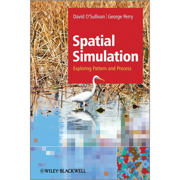 Simulating Pattern and Process (Paperback)