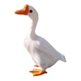 thumbnail image 4 of DYNWAVECA Artificial Feather Goose Statue Prop Housewarming Simulation Animal Figurine 15cmx20cm, 4 of 10