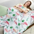 thumbnail image 3 of Flamingo Gifts for Women Fuzzy Blanket, Plush Blanket, Fluffy Blanket, Bed Throw Blanket Gifts for Girls Cozy Gifts for Men, Kids Blanket, Bedroom Decor 40x50 Inch, 3 of 8