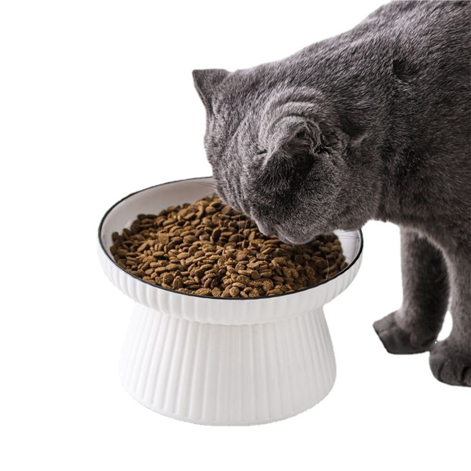 Elevated Cat Bowl Wide Shallow Ceramic Kitten Food Water Dish with Stable Non- Base Whisker Fatigue Relief Feeder Pet Feeding Station for Small Medium Cats Wet Dry Food Water Indoor