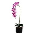 thumbnail image 3 of Maceta Iko-An Maxi Orquídea Artificial Fiucsa, 3 of 4